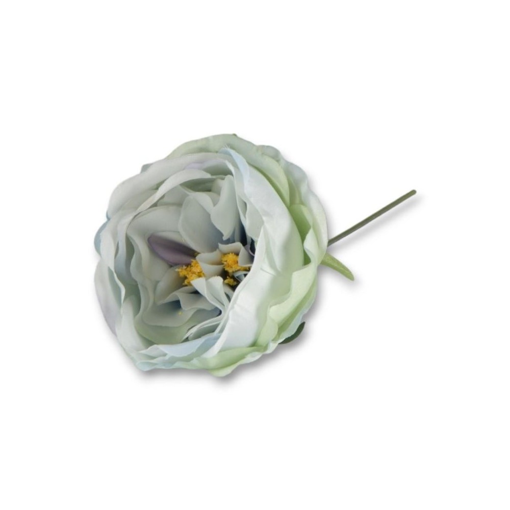 PEONIA CELESTE STELO 10CM